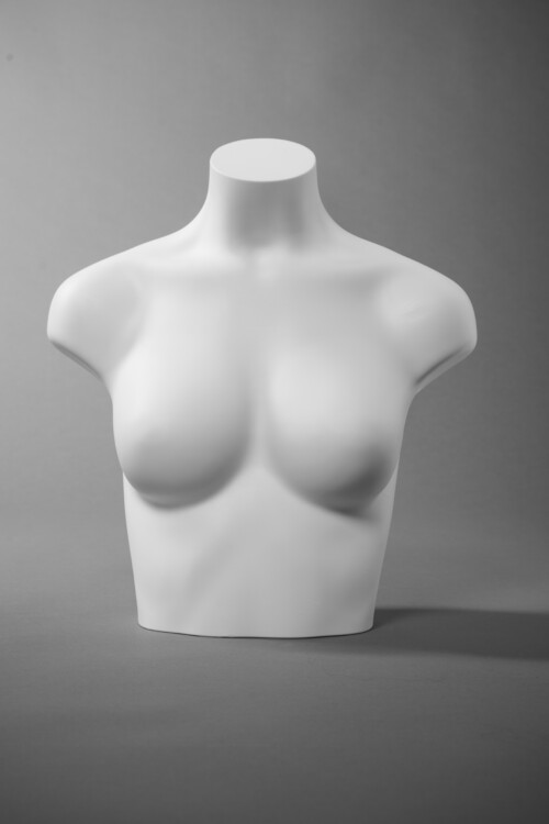 DSC5263busti vetrina donna uomo bambinmo arredo negozi economico costumi intimo scaletta base busto